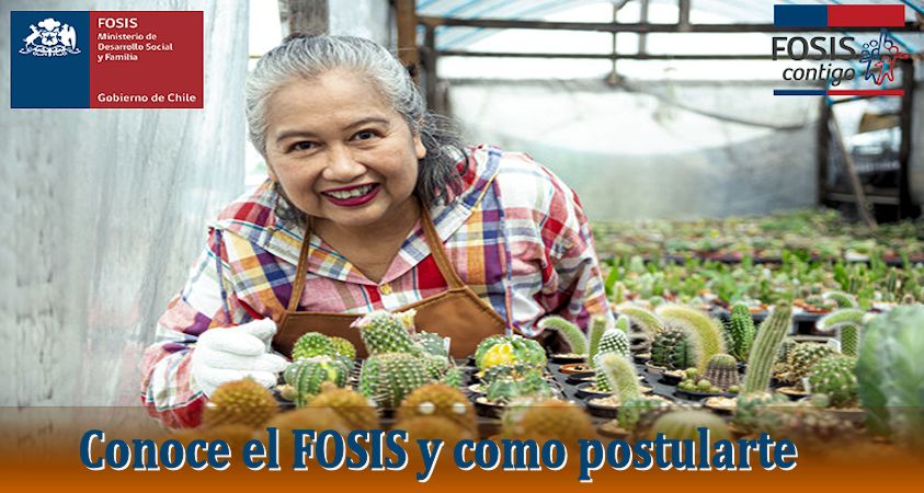 postular al FOSIS