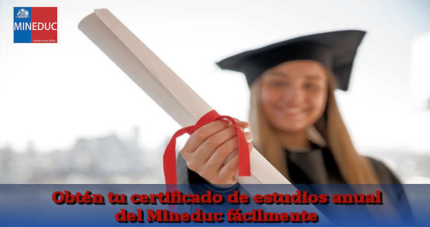 estudios anual del Mineduc
