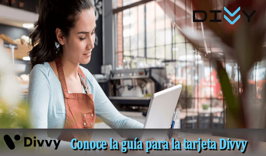 Conoce la guía para la tarjeta Divvy