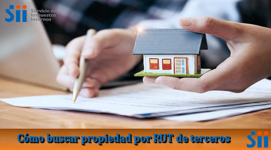 Buscar propiedad por RUT de terceros